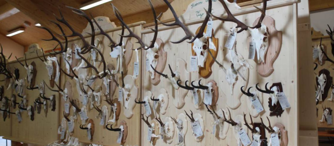 Mostra dei trofei di caccia 2014