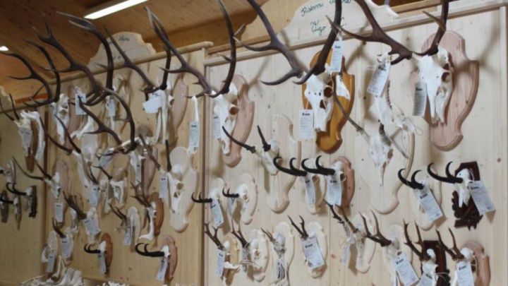 Mostra dei trofei di caccia 2014
