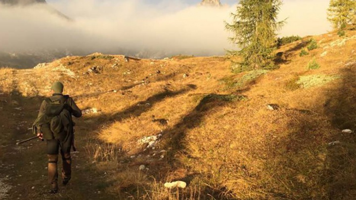 Caccia in Ampezzo
