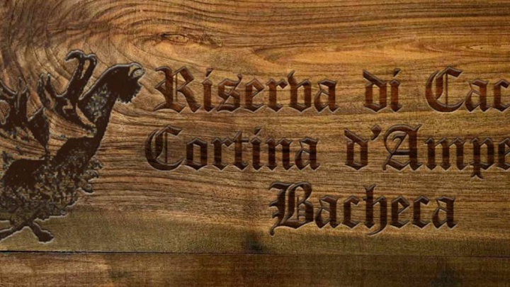 Bacheca Abbattimenti