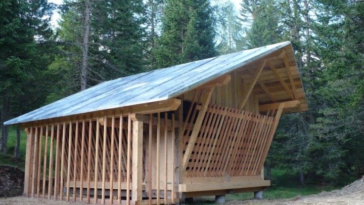 Non è tutto da buttare